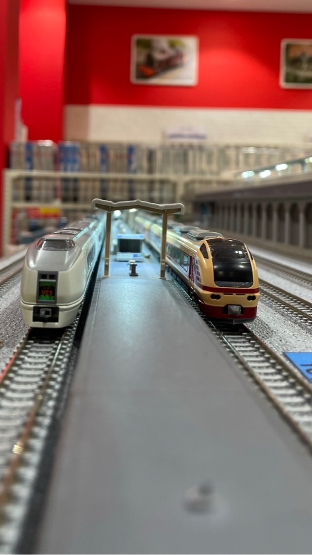Nゲージ多めの鉄道好きによるオプチャ
