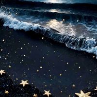 🌟海星無牆百貨🍾