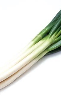 ねぎふぉとなのオープンチャット