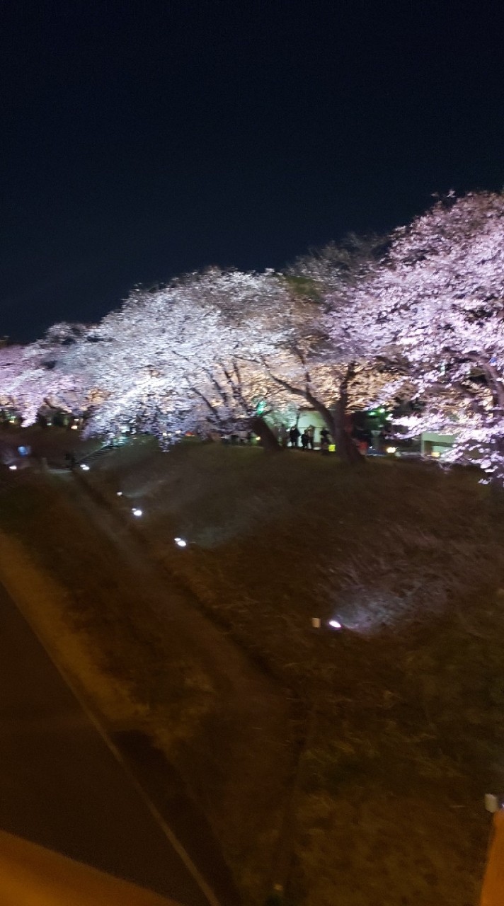 なおちんのお部屋のオープンチャット