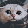 酶在怕Wei罩你