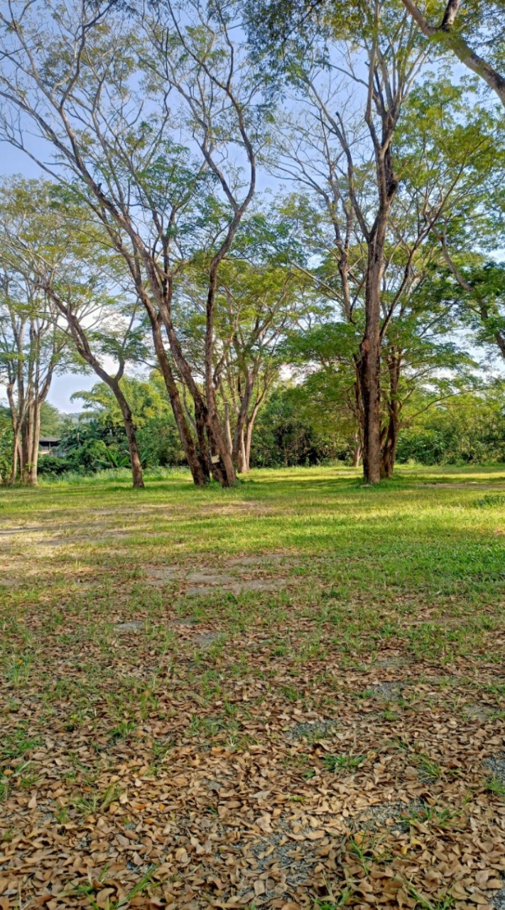 แลกรูปสวยๆ,วิวสวยๆ แชร์รูป,แบ่งปันรูป