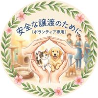保護っ子達の安全な譲渡のために(ボランティア専用)