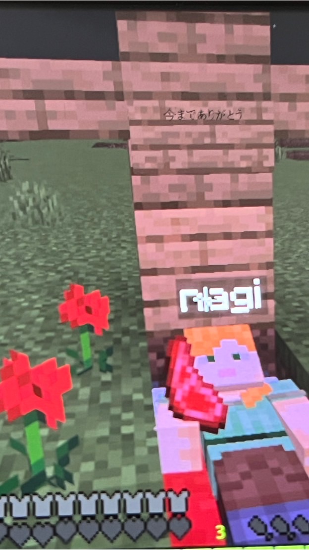 みんなでマイクラ・雑談しよー！！