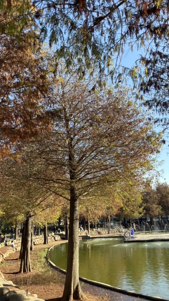 十元商店（老老店）