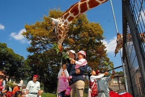 中国地方のおすすめ動物園 ふれあい エサやり 入園無料も 前編