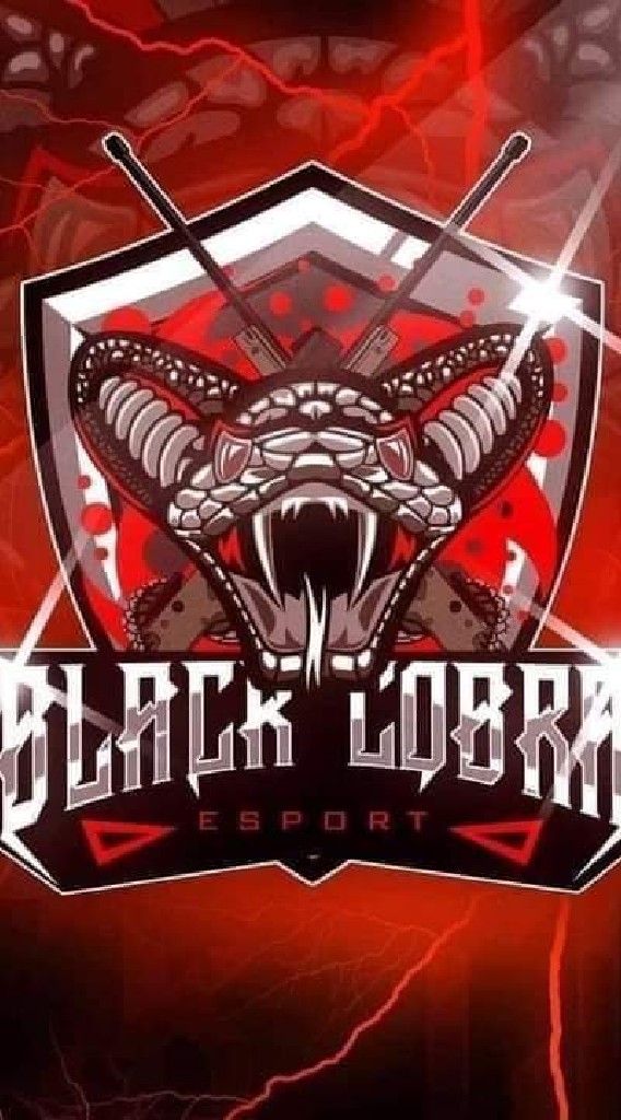BLACK COBRA E-Sport