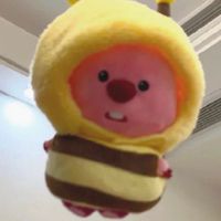 🌼霹靂澆花突如其來的連線代購🌼