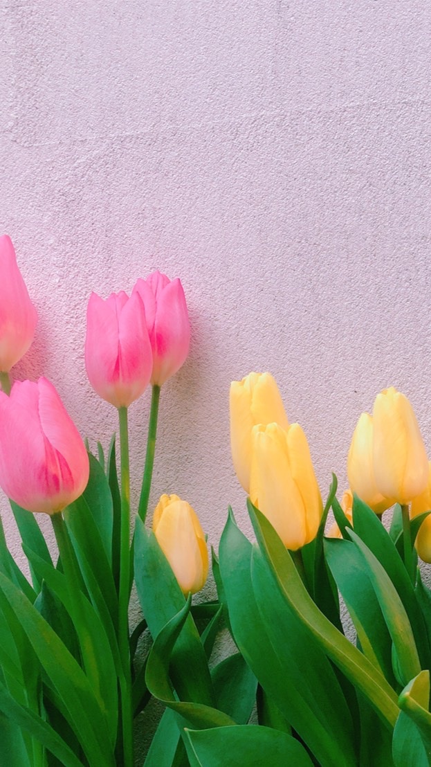 BlooMy♡