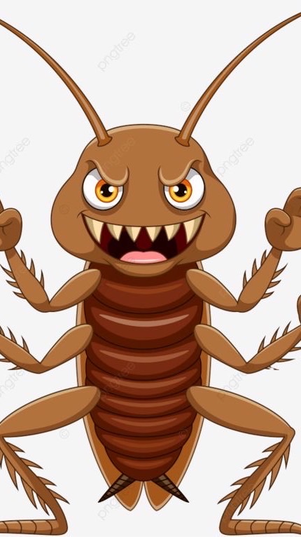 โรงเรียนบอทเด่นทุกด้าน