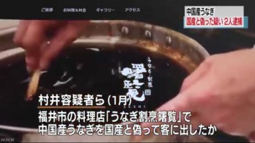 【小心鰻魚】中國鰻當日本鰻，福井縣廚師食店老闆被捕！