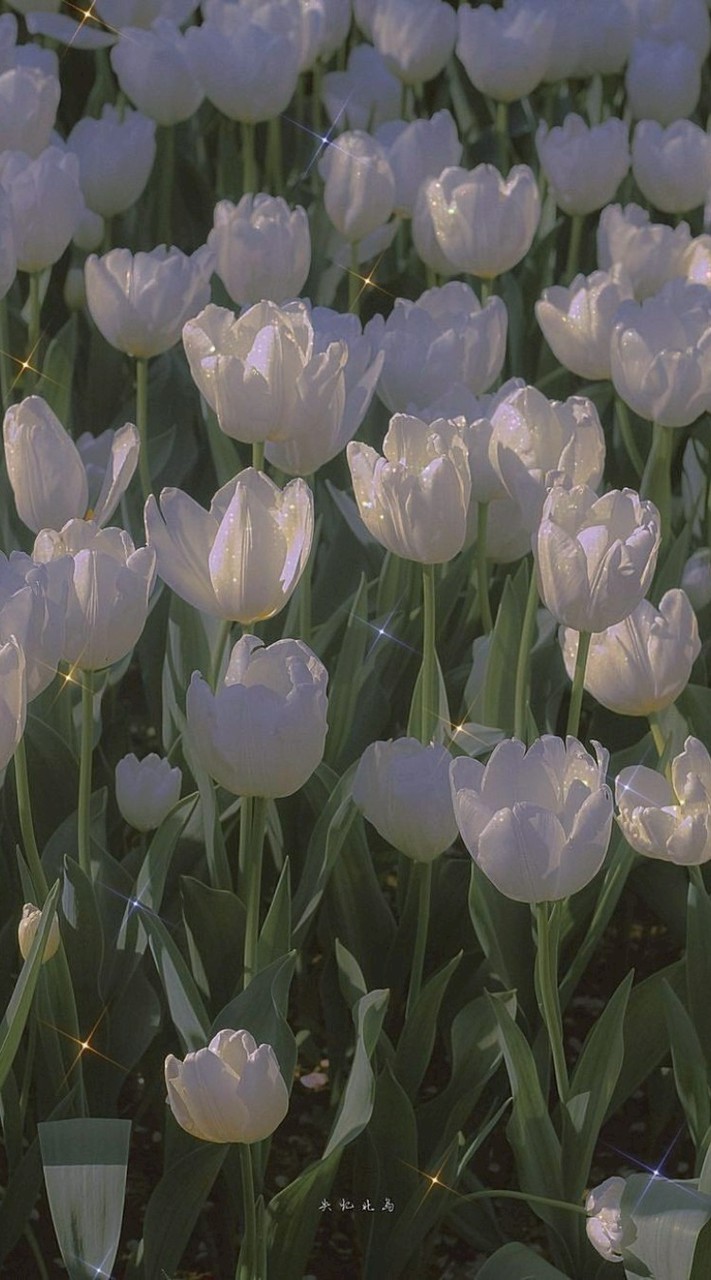 A room for practicing English.