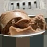 國中班狗訓犬群