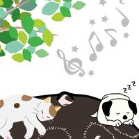 ゆるゆるハンドパン♪サークル