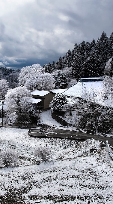 広津の杜