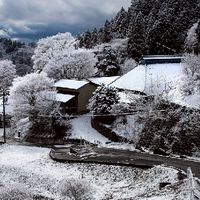 広津の杜