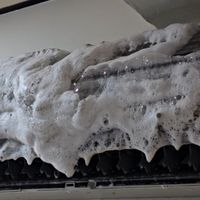 不是專業的但洗的很專業（冷氣清洗）