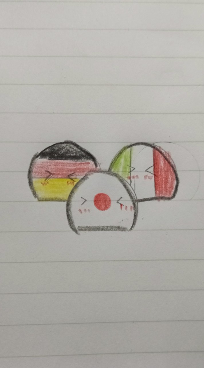ポーランドボール国家運営