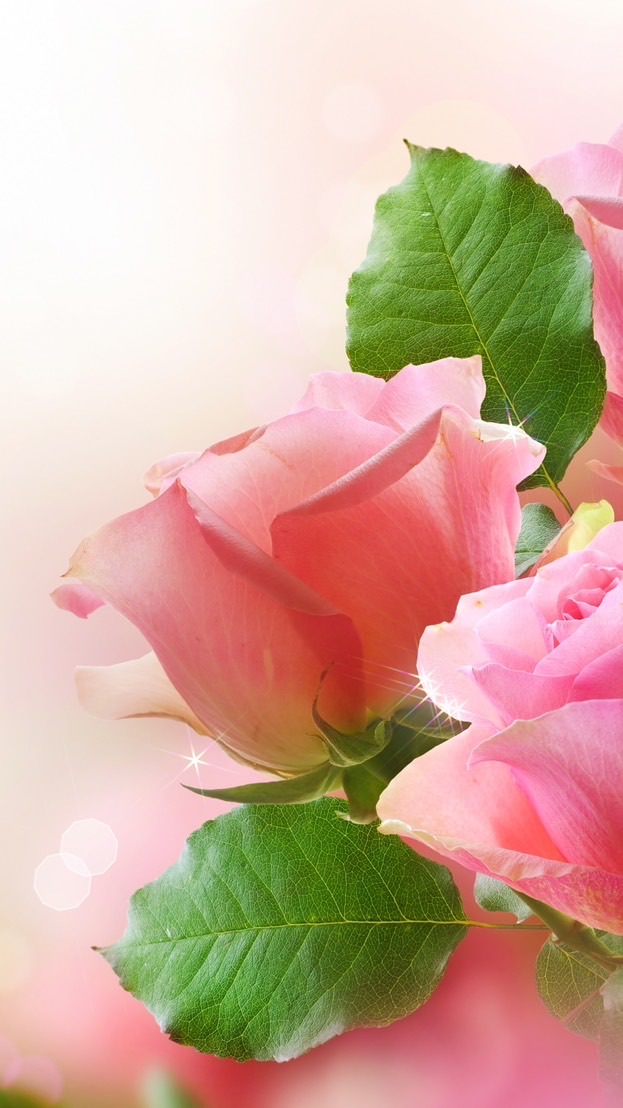 朗読ヒーリング🌹愛(神人さん/大日月地神示/斎藤一人さん/絵本/他)癒しと感謝をお届け致します🌹