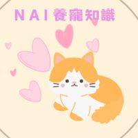 N A I貓咪交流分享