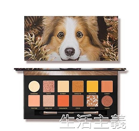 全館免運，支持開發票，外島派送，有疑問可以在商品問與答留言哦~