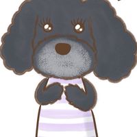 ようこオプチャ