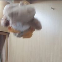 amate.ur小熊貓的SVT九週年卡冊 進度