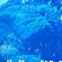 東海🎤カラオケしませんか🥤