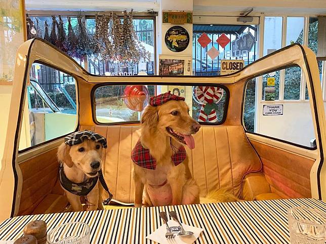  （圖片來源／IG @lulufifibabys）