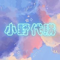 小野日韓代購團購（八德有取貨點）#日本代購#韓國代購#韓國東大門#韓國南大門
