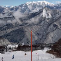 埼玉(さいたま市/大宮)その周辺の元気な中高年層集まれ！