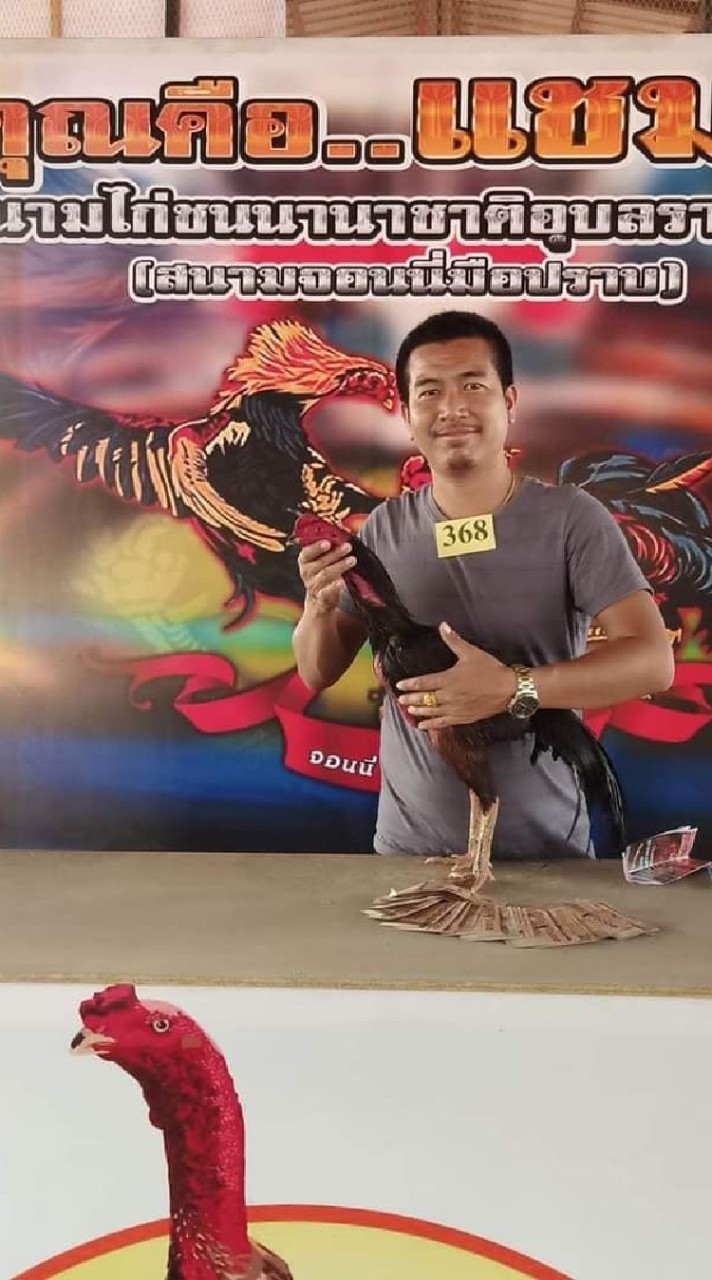 ซุ้ม ต.ตระการชัย พม่าสายตี ก๋อยเงินล้าน
