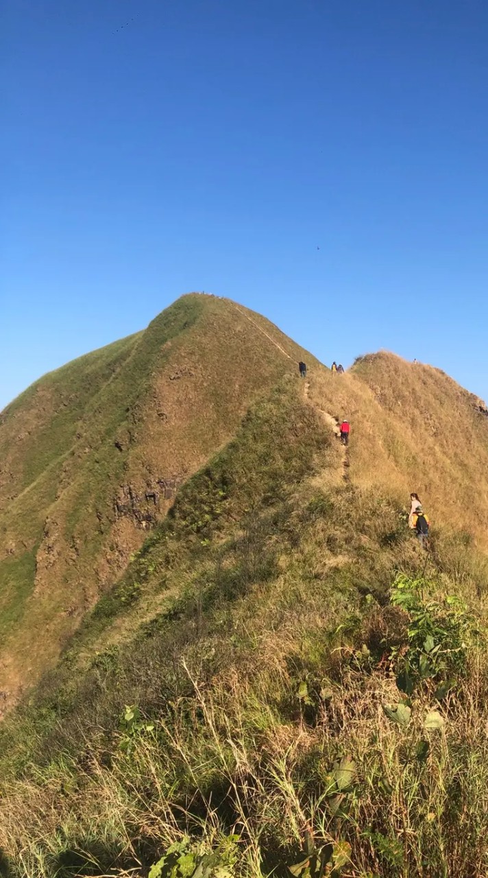 เดินป่า Trekking & Hiking