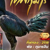 เจ้าคุณฟาร์ม โคราช