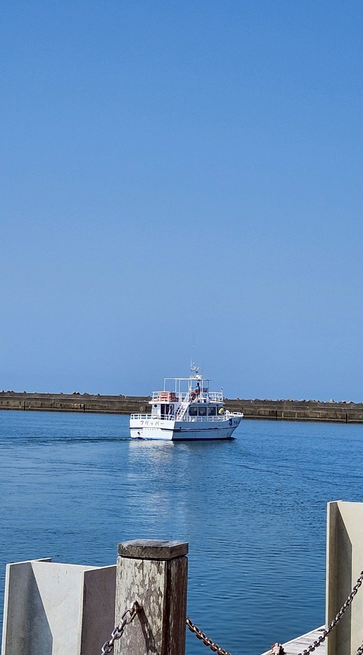 海鳥観察旅行・銚子20260409