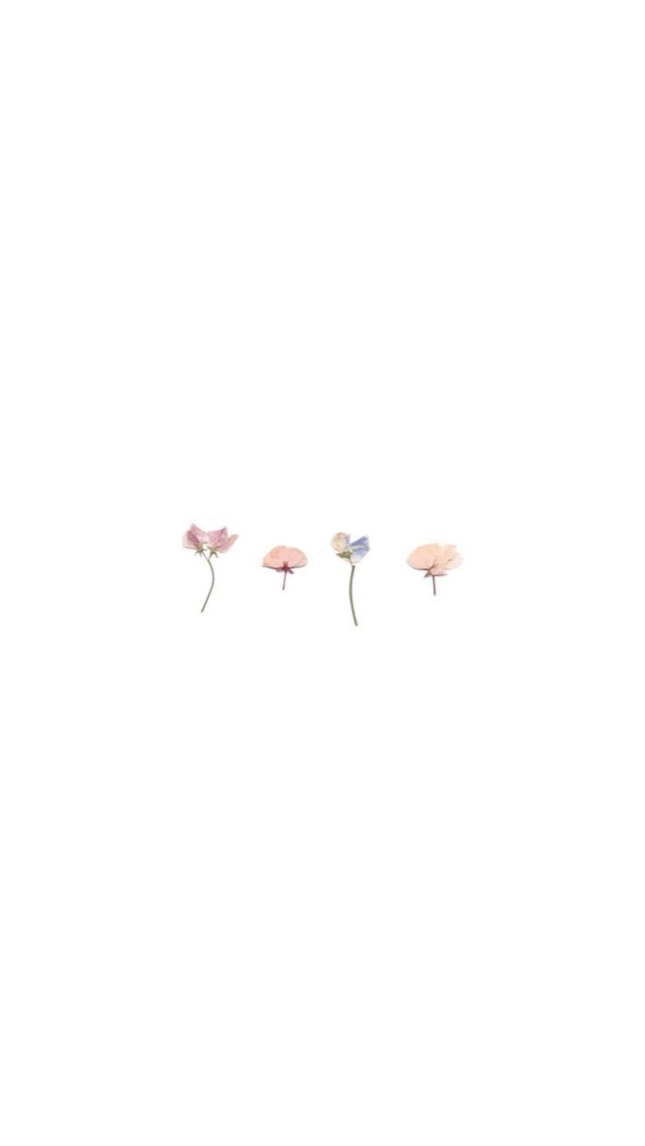 กิจกรรมองค์การวิชาชีพ 3(ปวส.1/1)