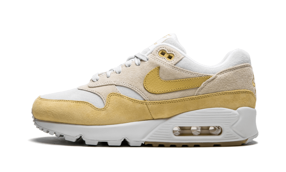 The women's Nike Air Max 90/1 