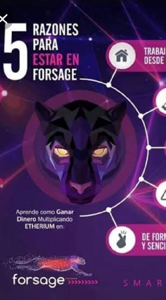 เงินคริปโต by forsage