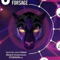 เงินคริปโต by forsage