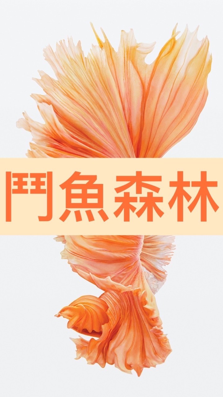 🍀鬥魚森林-LINE群