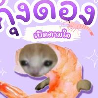 ร้านกุ้งดองเปิดตามใจ