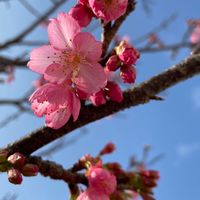 🌺沖縄🌴で楽しもう✨🌺県外もok