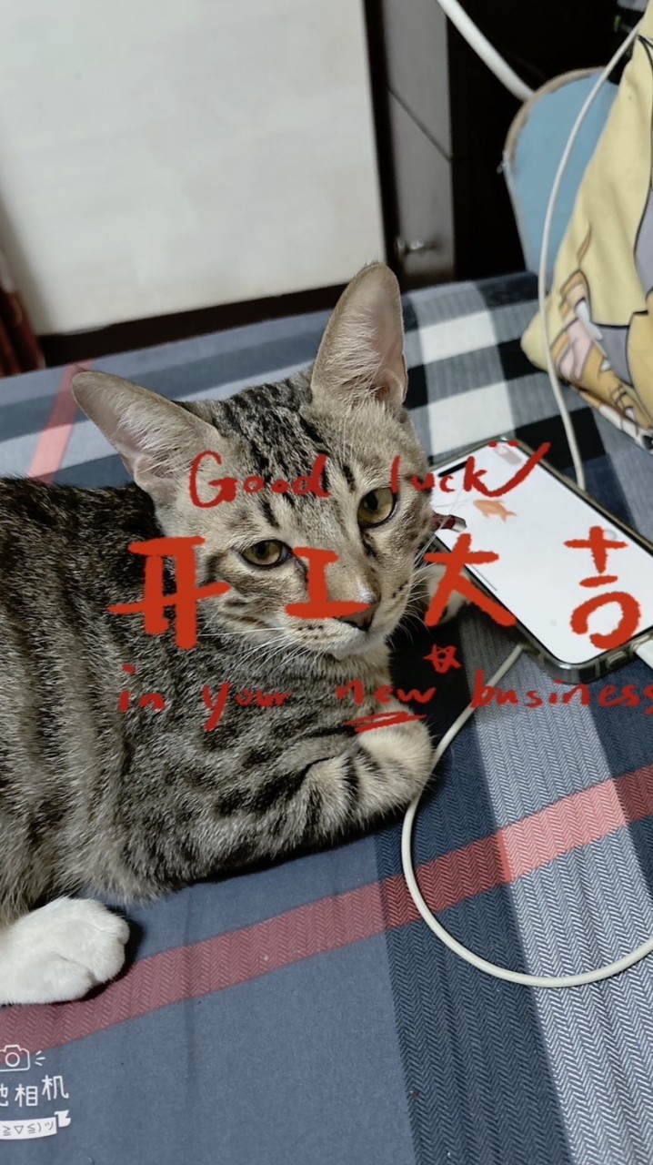 阿皓寵物百貨🐶🐱🐹🦜