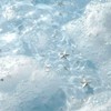 🪐 SEVENTEEN完全体待機・語り場・雑談 🪐
