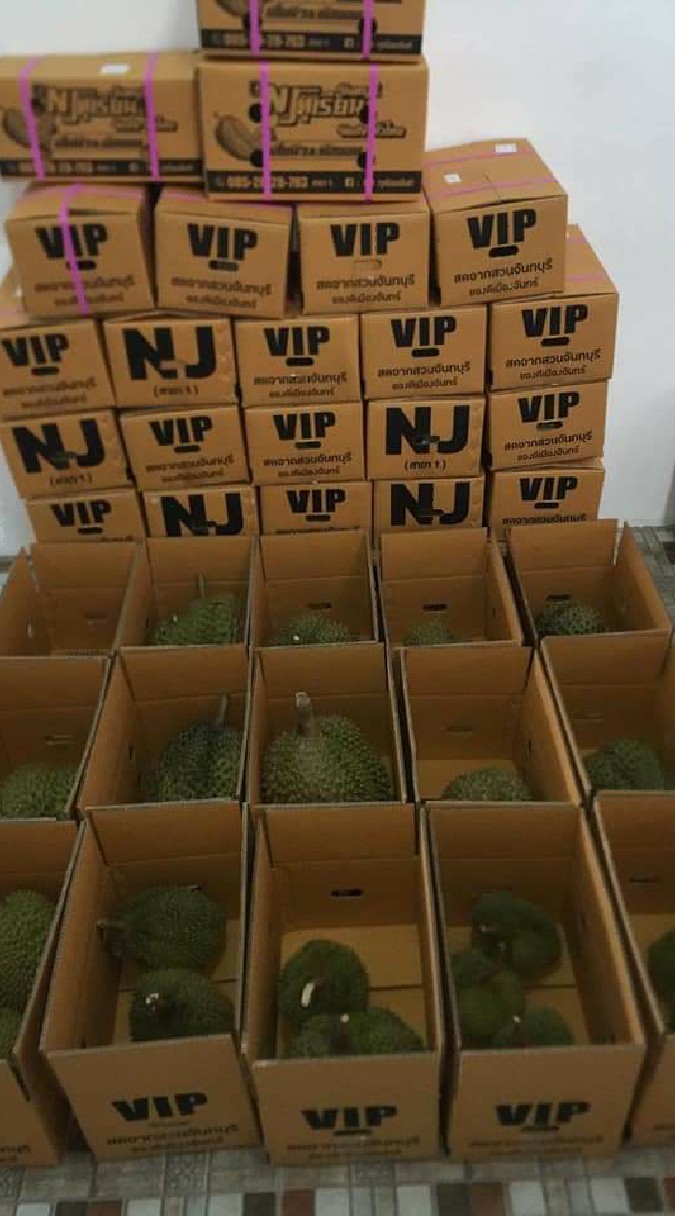 ตัวแทนขายกล่องร้านNJทุเรียนจันทบุรี