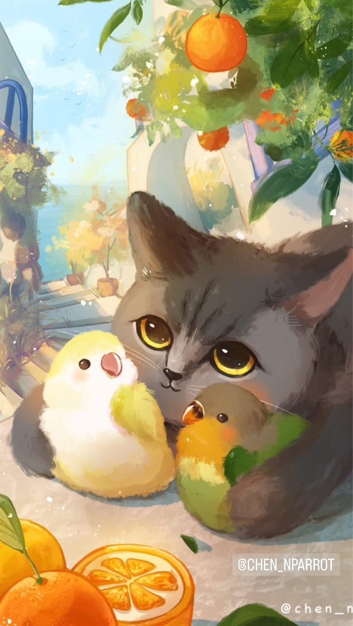 波波鳥三峽老街
