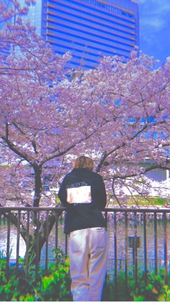 越山誉 SSW