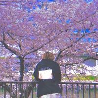 越山誉 SSW