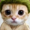 คุยเล่นกันเถอะ ชิวๆ