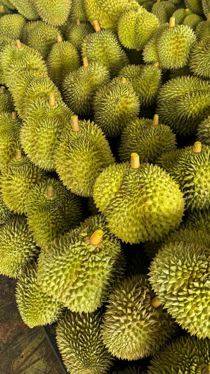 แจ้งราคา แผงน้องมีนา หลังสวน-ชุมพร